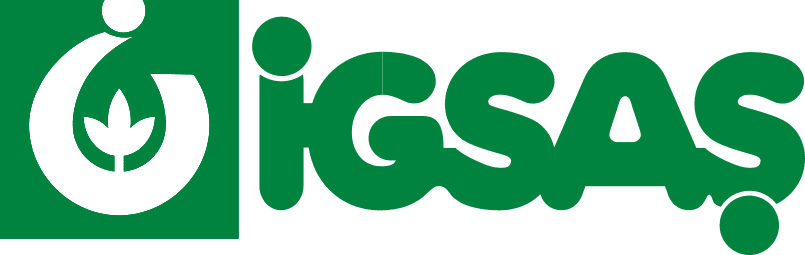 İGSAŞ
